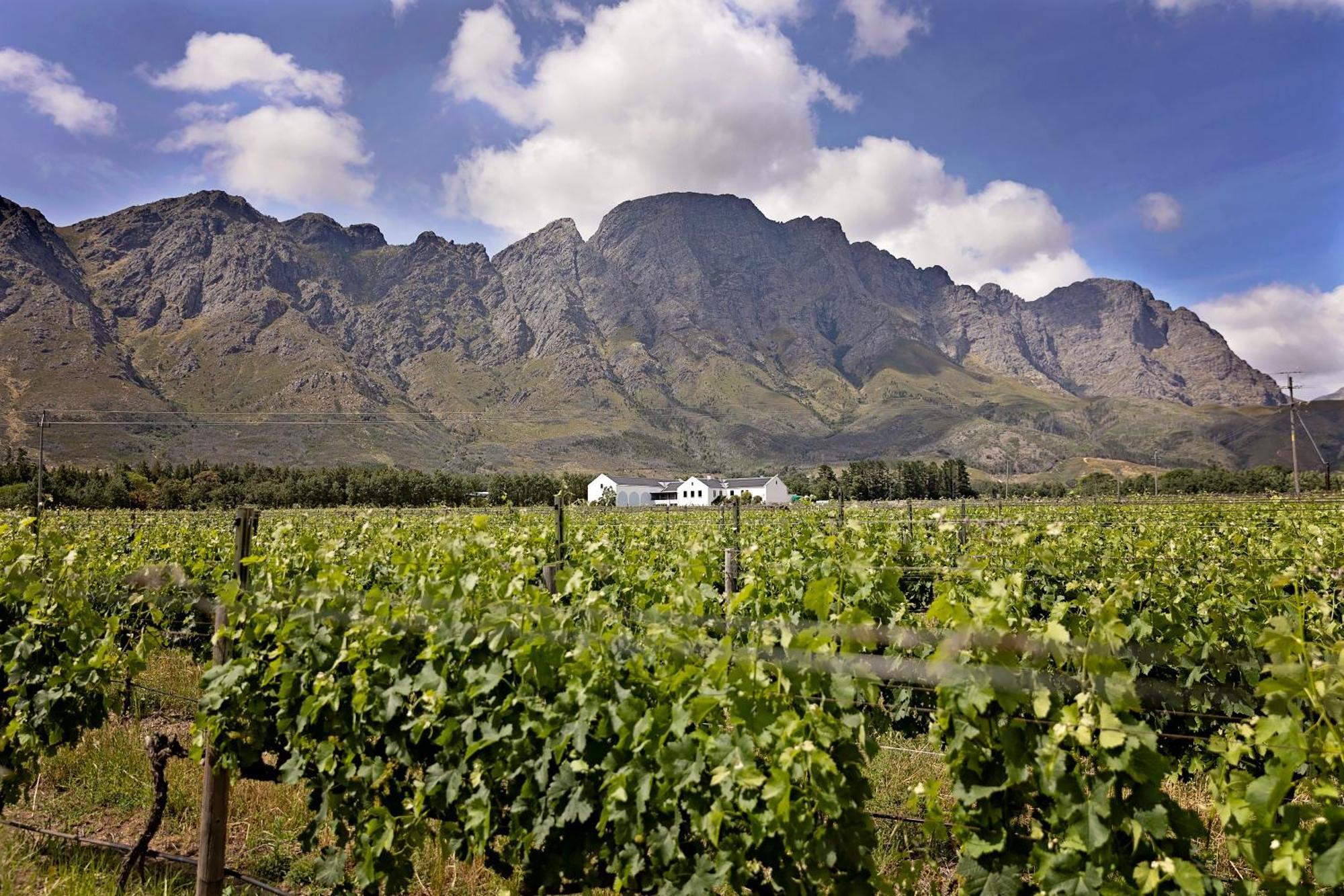 Holden Manz Country House Franschhoek Zewnętrze zdjęcie