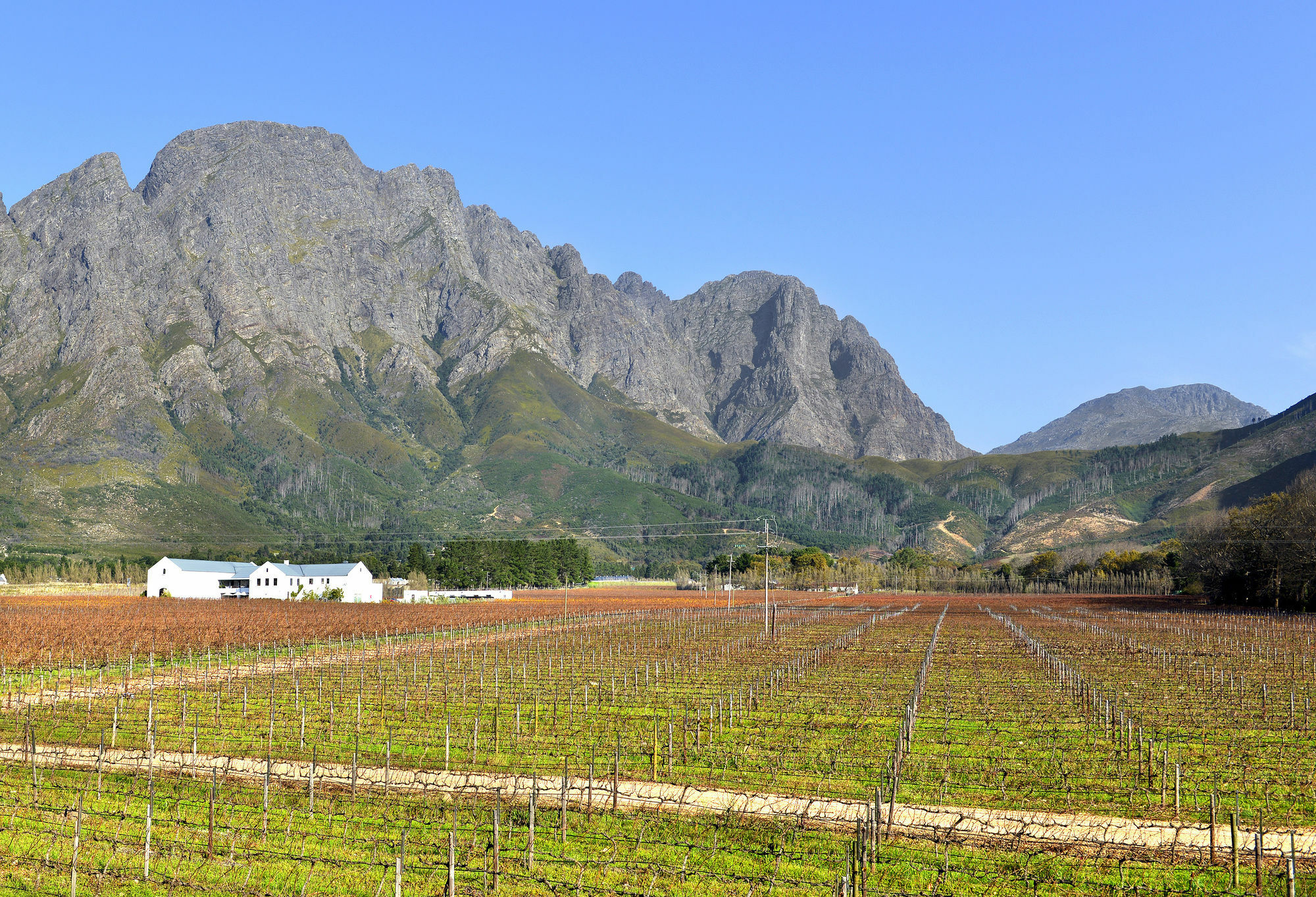 Holden Manz Country House Franschhoek Zewnętrze zdjęcie